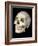 Modern Homo Sapiens Skull-Ted Thai-Framed Photographic Print