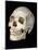 Modern Homo Sapiens Skull-Ted Thai-Mounted Photographic Print
