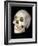 Modern Homo Sapiens Skull-Ted Thai-Framed Photographic Print