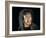 Modern Human-Javier Trueba-Framed Photographic Print