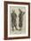 Modern Japanese Types-Alfred Chantrey Corbould-Framed Giclee Print