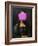 Modern Mona Lisa-The Art Concept-Framed Photographic Print