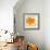 Modern Orange-Irena Orlov-Framed Art Print displayed on a wall