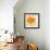 Modern Orange-Irena Orlov-Framed Art Print displayed on a wall