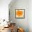 Modern Orange-Irena Orlov-Framed Stretched Canvas displayed on a wall