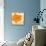 Modern Orange-Irena Orlov-Framed Stretched Canvas displayed on a wall