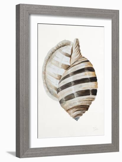 Modern Shell I-Patricia Pinto-Framed Art Print