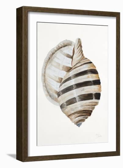 Modern Shell I-Patricia Pinto-Framed Art Print