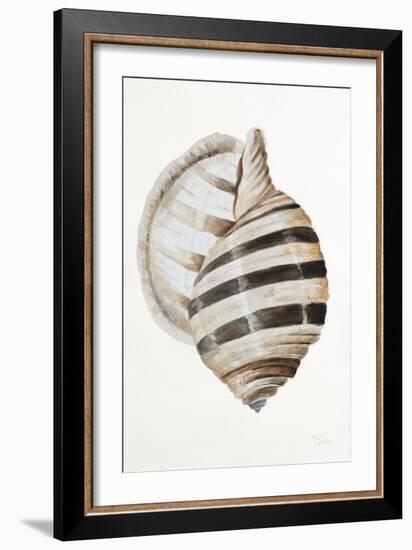 Modern Shell I-Patricia Pinto-Framed Art Print