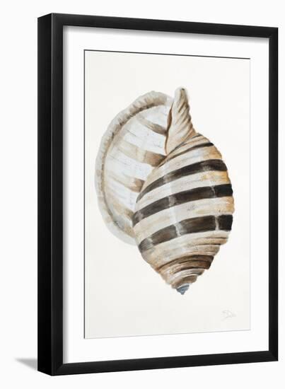 Modern Shell I-Patricia Pinto-Framed Art Print