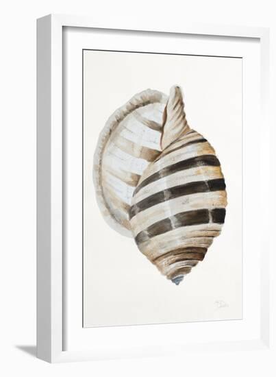 Modern Shell I-Patricia Pinto-Framed Art Print