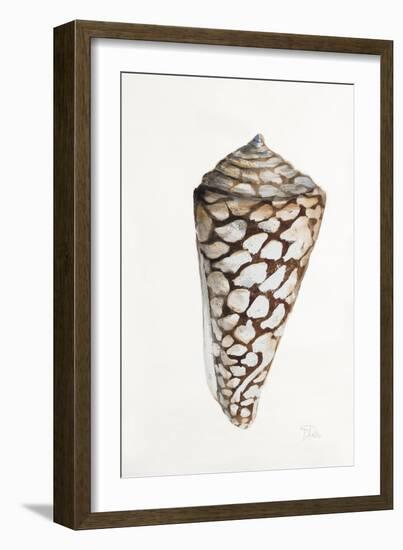 Modern Shell II-Patricia Pinto-Framed Art Print