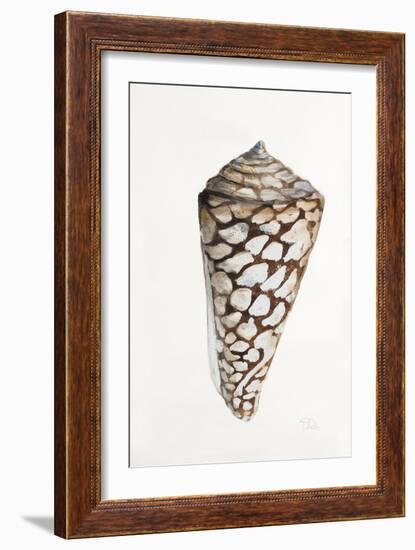 Modern Shell II-Patricia Pinto-Framed Art Print