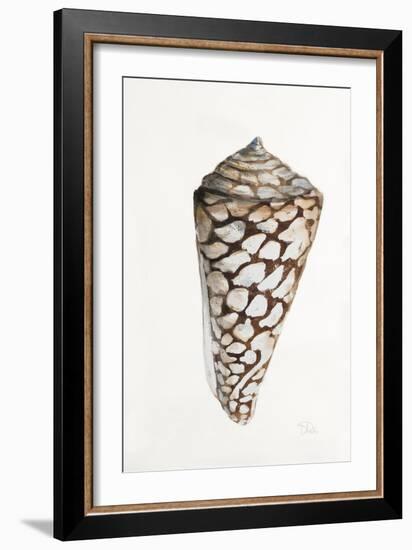 Modern Shell II-Patricia Pinto-Framed Art Print