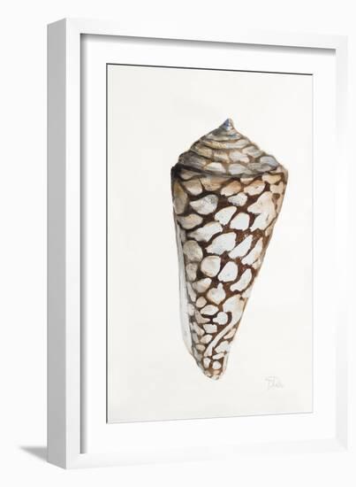 Modern Shell II-Patricia Pinto-Framed Art Print