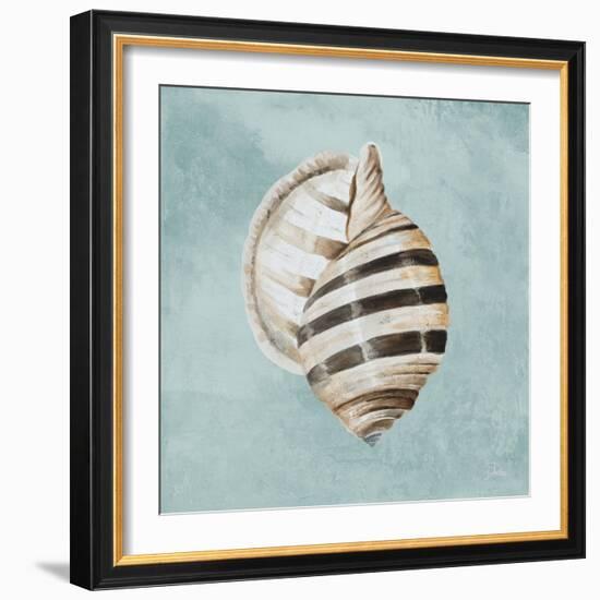 Modern Shell on Teal I-Patricia Pinto-Framed Art Print