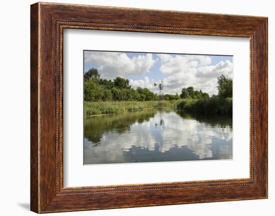 Modern Wind Pump for Pumping Water onto Wicken Fen, Cambridgeshire, UK, June 2011-Terry Whittaker-Framed Photographic Print