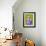 Moderno Bellow IV-Mary Calkins-Framed Giclee Print displayed on a wall