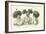 Modes of Dressing the Hair Practised by the Inhabitants of New Guinea-null-Framed Giclee Print