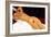 Modigliani: Nude, 1917-Amedeo Modigliani-Framed Giclee Print