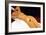 Modigliani: Nude, 1917-Amedeo Modigliani-Framed Giclee Print