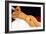 Modigliani: Nude, 1917-Amedeo Modigliani-Framed Giclee Print