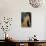 Modigliani: Nude, C1917-Amedeo Modigliani-Giclee Print displayed on a wall
