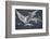 Modo De Volar-Francisco de Goya-Framed Photographic Print