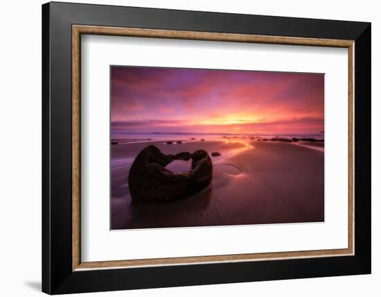 moeraki-1-Lincoln Harrison-Framed Photo