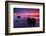 moeraki-2-Lincoln Harrison-Framed Photo