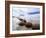 Moeraki Boulders #3, New Zealand 98-Monte Nagler-Framed Photographic Print