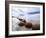 Moeraki Boulders #3, New Zealand 98-Monte Nagler-Framed Photographic Print