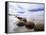 Moeraki Boulders #3, New Zealand 98-Monte Nagler-Framed Premier Image Canvas