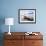 Moeraki Boulders #3, New Zealand 98-Monte Nagler-Framed Photographic Print displayed on a wall