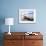 Moeraki Boulders #3, New Zealand 98-Monte Nagler-Framed Photographic Print displayed on a wall