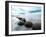 Moeraki Boulders #3, New Zealand ‘98-Monte Nagler-Framed Photographic Print