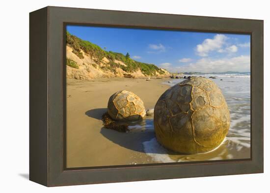 Moeraki Boulders Massive Spherical Rocks Which-null-Framed Premier Image Canvas