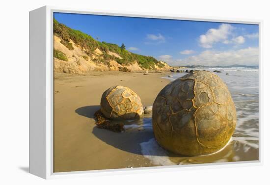 Moeraki Boulders Massive Spherical Rocks Which-null-Framed Premier Image Canvas