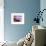 Moeraki Boulders, Moeraki, Otago, South Island, New Zealand, Pacific-Jochen Schlenker-Framed Photographic Print displayed on a wall