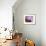 Moeraki Boulders, Moeraki, Otago, South Island, New Zealand, Pacific-Jochen Schlenker-Framed Photographic Print displayed on a wall