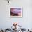 Moeraki Boulders, Moeraki, Otago, South Island, New Zealand, Pacific-Jochen Schlenker-Framed Photographic Print displayed on a wall