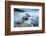 Moeraki Boulders, Moeraki, Otago, South Island, New Zealand, Pacific-John Alexander-Framed Photographic Print