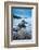 Moeraki Boulders, Moeraki, Otago, South Island, New Zealand, Pacific-John Alexander-Framed Photographic Print