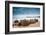 Moeraki Boulders New Zealand-null-Framed Art Print