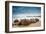 Moeraki Boulders New Zealand-null-Framed Art Print