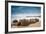 Moeraki Boulders New Zealand-null-Framed Art Print