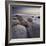 Moeraki Boulders, Otago, South Island, New Zealand-Rainer Mirau-Framed Photographic Print