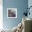 Moeraki Boulders, Otago, South Island, New Zealand-Rainer Mirau-Framed Photographic Print displayed on a wall