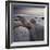 Moeraki Boulders, Otago, South Island, New Zealand-Rainer Mirau-Framed Photographic Print