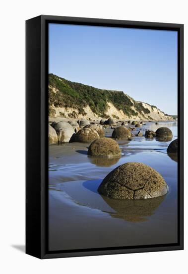 Moeraki Boulders Scenic Reserve, South Island, New Zealand-Jaynes Gallery-Framed Premier Image Canvas